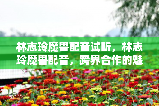 林志玲魔兽配音试听，林志玲魔兽配音，跨界合作的魅力与游戏世界的震撼