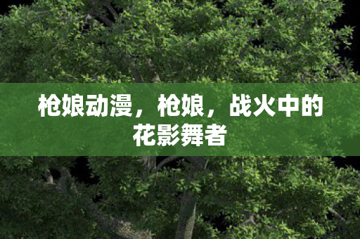 枪娘动漫，枪娘，战火中的花影舞者