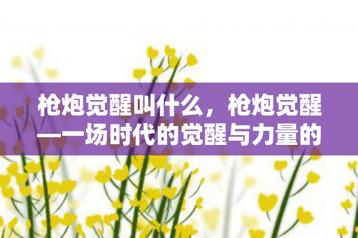 枪炮觉醒叫什么，枪炮觉醒—一场时代的觉醒与力量的重塑