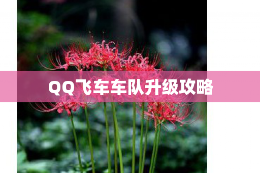 QQ飞车车队升级攻略