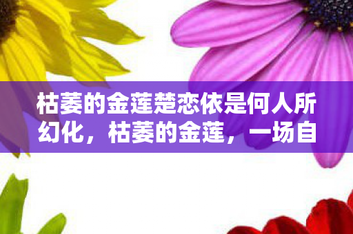 枯萎的金莲楚恋依是何人所幻化，枯萎的金莲，一场自然与人性的对话
