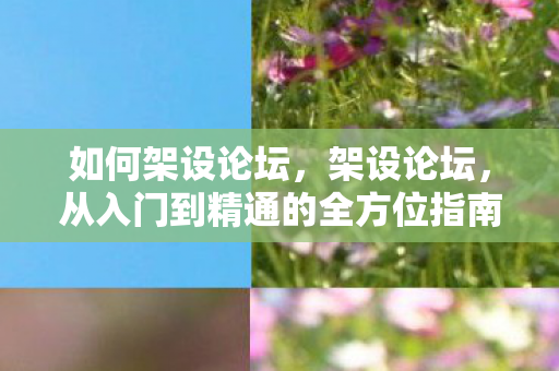 如何架设论坛，架设论坛，从入门到精通的全方位指南