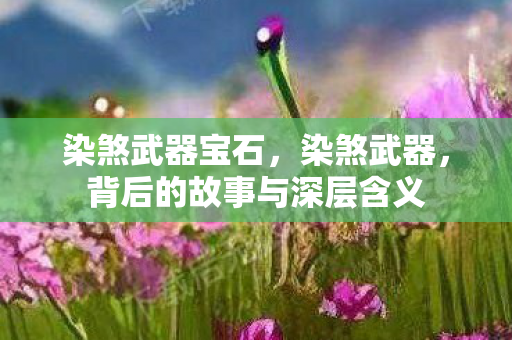 染煞武器宝石，染煞武器，背后的故事与深层含义