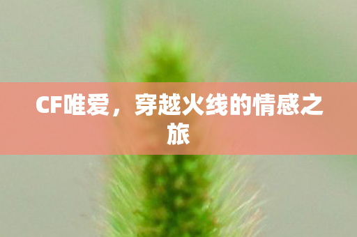 CF唯爱,穿越火线的情感之旅 CF唯爱,穿越火线的情感之旅