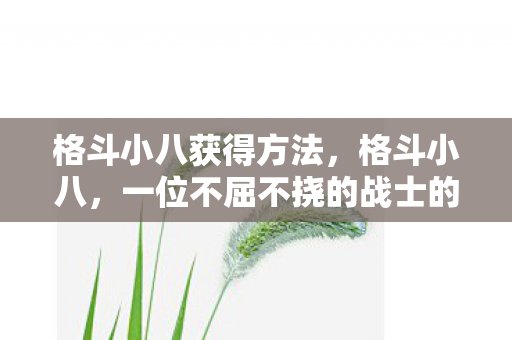 格斗小八获得方法，格斗小八，一位不屈不挠的战士的成长之路