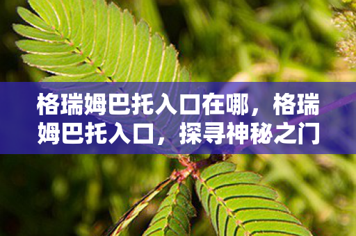 格瑞姆巴托入口在哪，格瑞姆巴托入口，探寻神秘之门背后的故事
