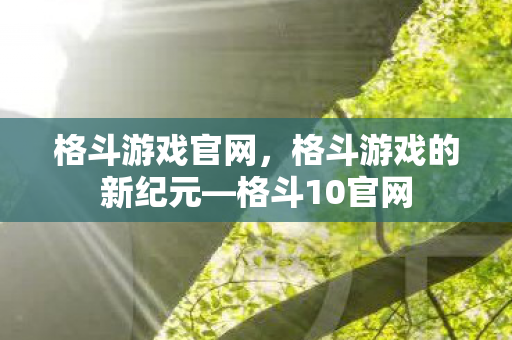 格斗游戏官网，格斗游戏的新纪元—格斗10官网