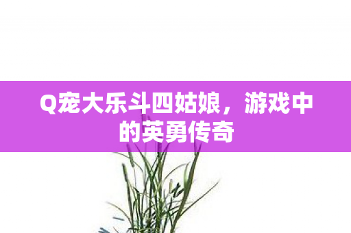 Q宠大乐斗四姑娘,游戏中的英勇传奇 Q宠大乐斗四姑娘,游戏中的英勇传奇