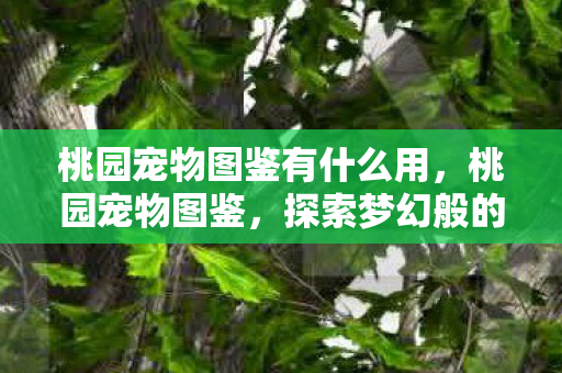 桃园宠物图鉴有什么用，桃园宠物图鉴，探索梦幻般的宠物世界