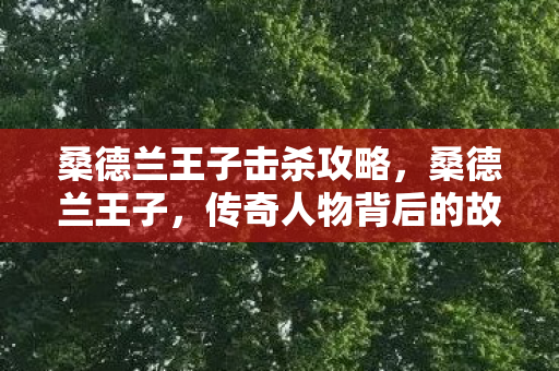 桑德兰王子击杀攻略，桑德兰王子，传奇人物背后的故事