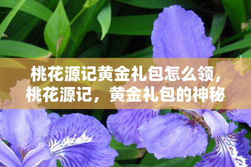 桃花源记黄金礼包怎么领，桃花源记，黄金礼包的神秘之旅