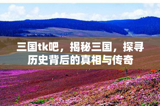 三国tk吧，揭秘三国，探寻历史背后的真相与传奇