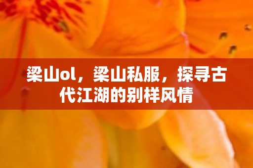 梁山ol，梁山私服，探寻古代江湖的别样风情