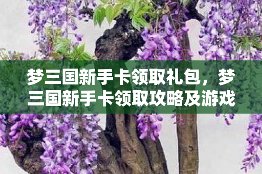 梦三国新手卡领取礼包，梦三国新手卡领取攻略及游戏入门指南