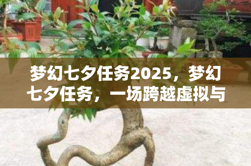 梦幻七夕任务2025，梦幻七夕任务，一场跨越虚拟与现实的浪漫冒险