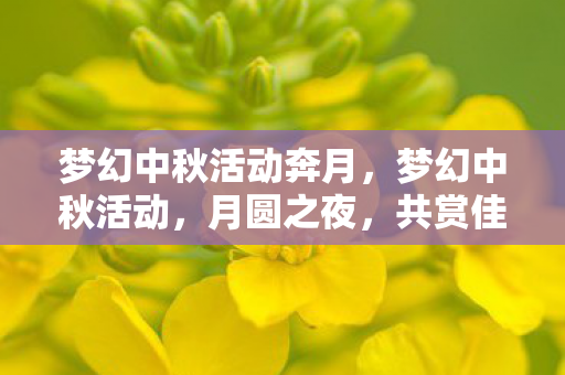 梦幻中秋活动奔月，梦幻中秋活动，月圆之夜，共赏佳节盛景