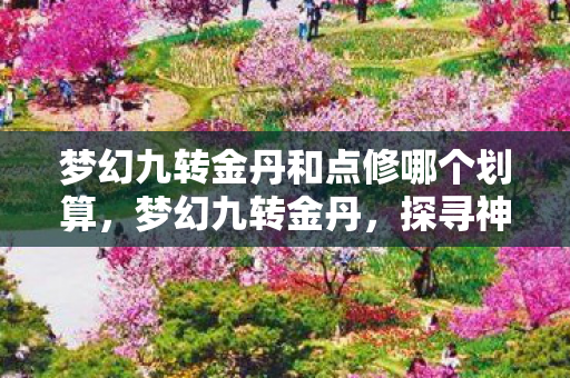 梦幻九转金丹和点修哪个划算，梦幻九转金丹，探寻神秘力量的奇幻之旅