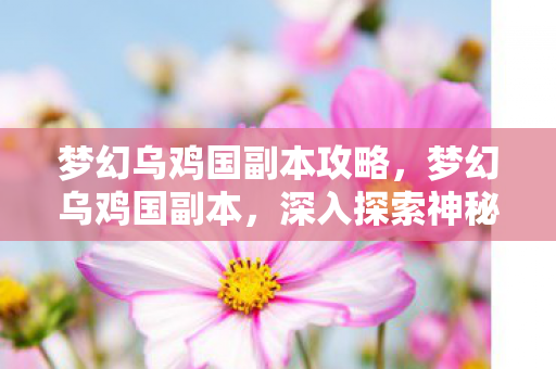 梦幻乌鸡国副本攻略，梦幻乌鸡国副本，深入探索神秘之地