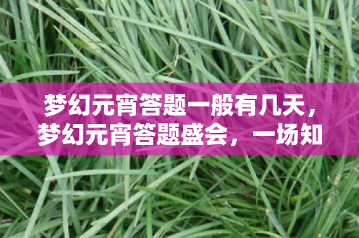 梦幻元宵答题一般有几天，梦幻元宵答题盛会，一场知识与欢乐的盛宴