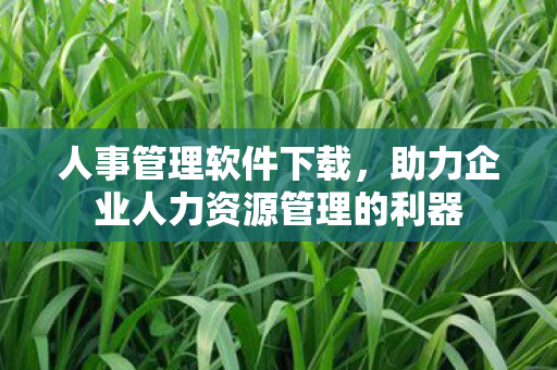 人事管理软件下载，助力企业人力资源管理的利器