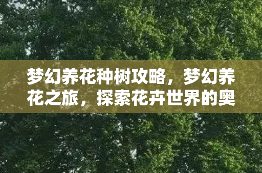 梦幻养花种树攻略，梦幻养花之旅，探索花卉世界的奥秘与魅力
