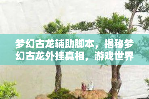 梦幻古龙辅助脚本，揭秘梦幻古龙外挂真相，游戏世界的虚假诱惑与真实风险
