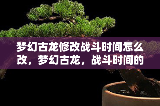 梦幻古龙修改战斗时间怎么改，梦幻古龙，战斗时间的修改与探索