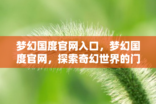 梦幻国度官网入口，梦幻国度官网，探索奇幻世界的门户