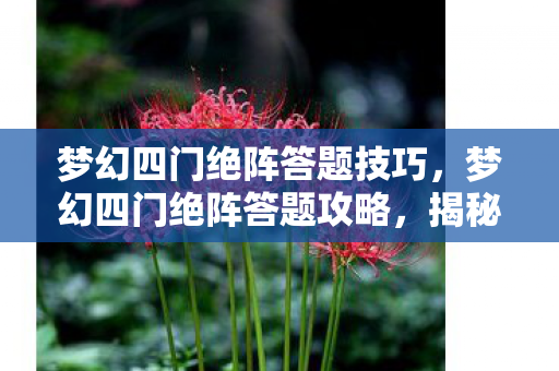 梦幻四门绝阵答题技巧，梦幻四门绝阵答题攻略，揭秘古老阵法的奥秘与实战应用
