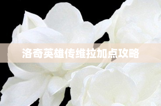 洛奇英雄传维拉加点攻略 洛奇英雄传维拉加点攻略