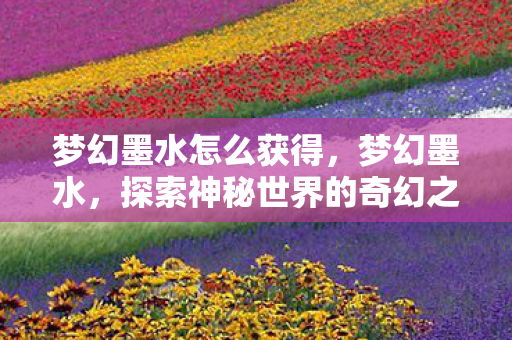 梦幻墨水怎么获得，梦幻墨水，探索神秘世界的奇幻之旅