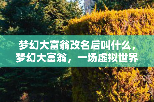 梦幻大富翁改名后叫什么，梦幻大富翁，一场虚拟世界的财富冒险之旅