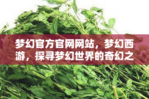 梦幻官方官网网站，梦幻西游，探寻梦幻世界的奇幻之旅