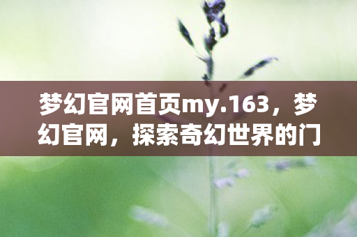 梦幻官网首页my.163，梦幻官网，探索奇幻世界的门户