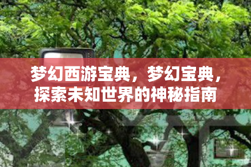 梦幻西游宝典，梦幻宝典，探索未知世界的神秘指南