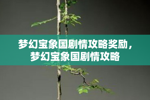 梦幻宝象国剧情攻略奖励，梦幻宝象国剧情攻略