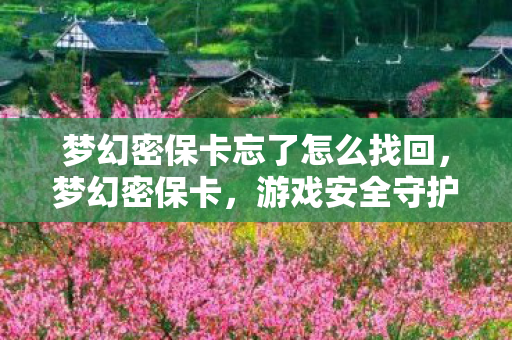 梦幻密保卡忘了怎么找回，梦幻密保卡，游戏安全守护神