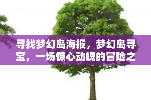 寻找梦幻岛海报，梦幻岛寻宝，一场惊心动魄的冒险之旅