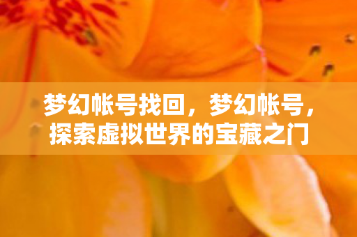 梦幻帐号找回，梦幻帐号，探索虚拟世界的宝藏之门
