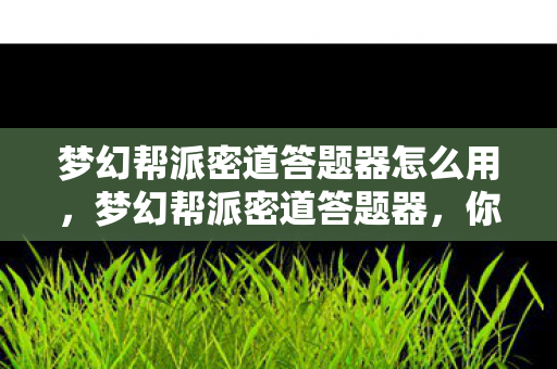梦幻帮派密道答题器怎么用，梦幻帮派密道答题器，你的梦幻帮派冒险必备神器