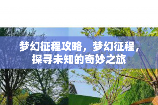 梦幻征程攻略，梦幻征程，探寻未知的奇妙之旅