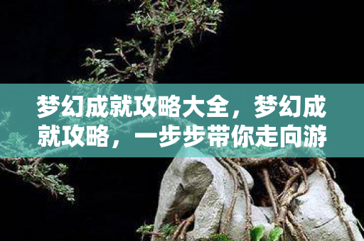 梦幻成就攻略大全，梦幻成就攻略，一步步带你走向游戏巅峰