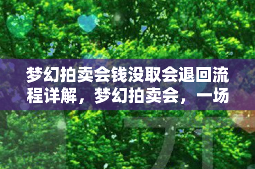 梦幻拍卖会钱没取会退回流程详解，梦幻拍卖会，一场文化与财富的盛宴