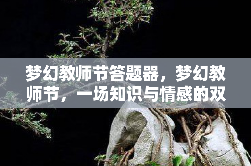 梦幻教师节答题器，梦幻教师节，一场知识与情感的双向奔赴