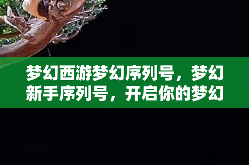 梦幻西游梦幻序列号，梦幻新手序列号，开启你的梦幻之旅