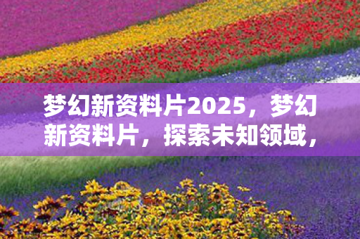 梦幻新资料片2025，梦幻新资料片，探索未知领域，开启全新篇章