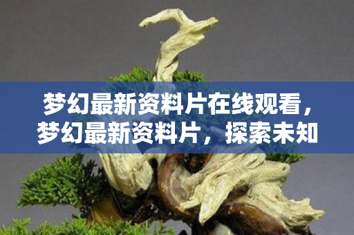 梦幻最新资料片在线观看，梦幻最新资料片，探索未知领域，开启全新篇章
