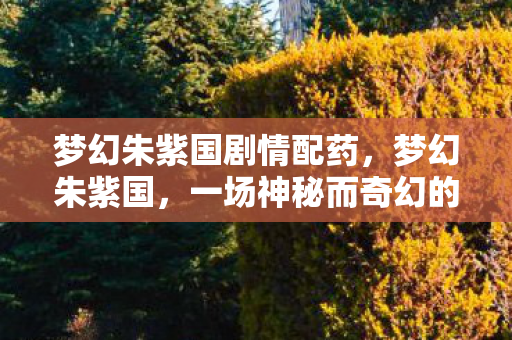 梦幻朱紫国剧情配药，梦幻朱紫国，一场神秘而奇幻的冒险之旅