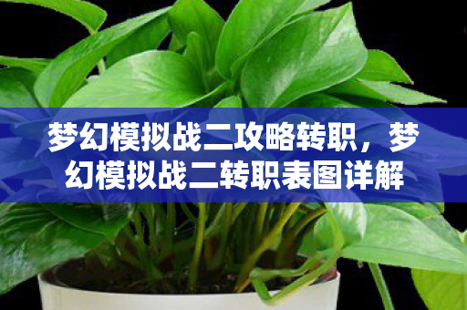 梦幻模拟战二攻略转职，梦幻模拟战二转职表图详解