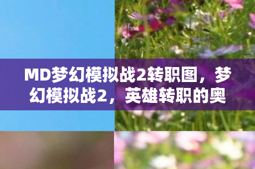 MD梦幻模拟战2转职图，梦幻模拟战2，英雄转职的奥秘与战略深度解析